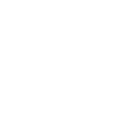 Recraft logo