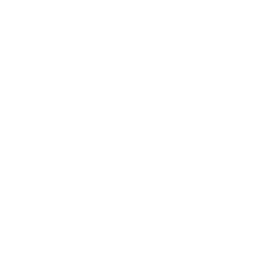 Black Forest Labs logo