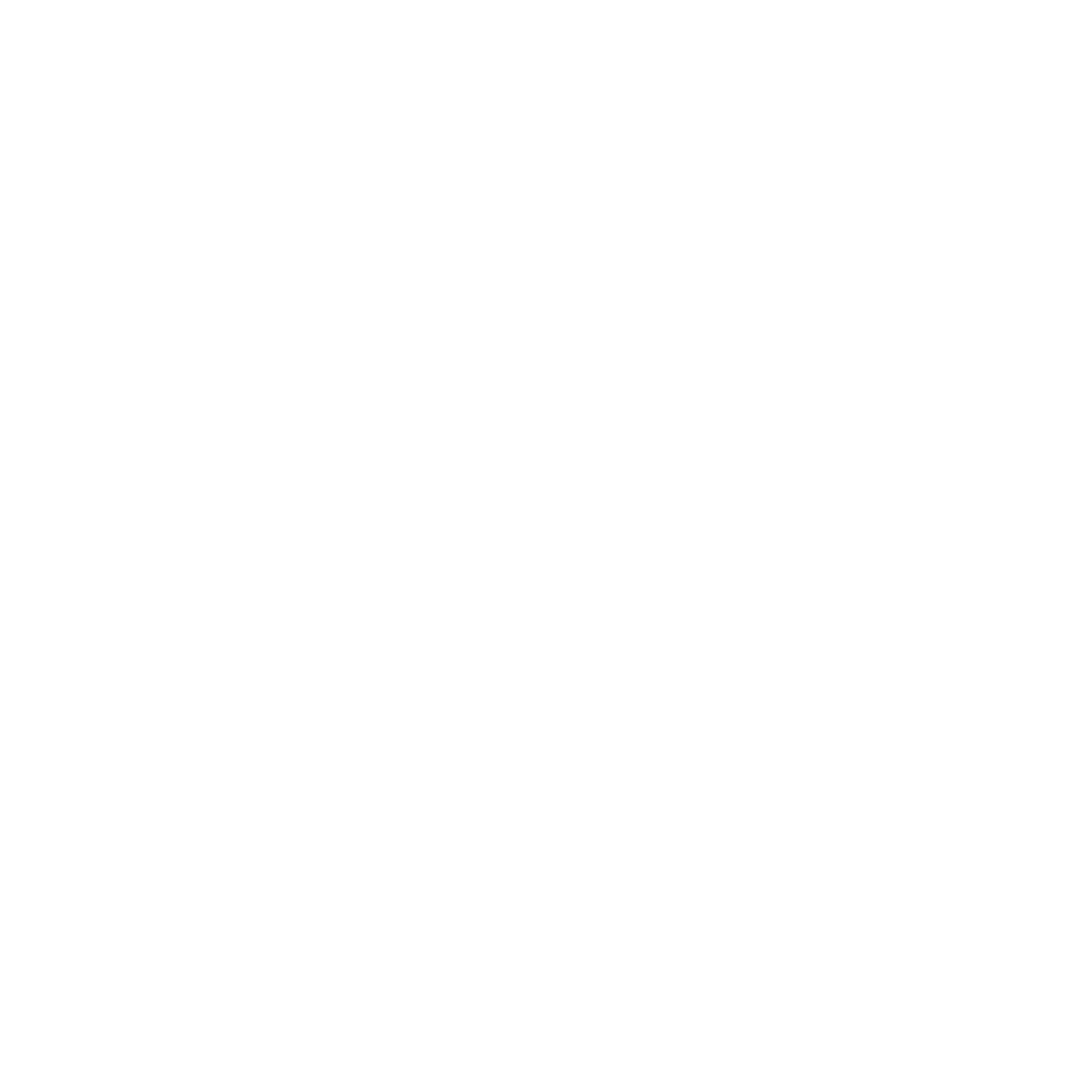 Black Forest Labs logo