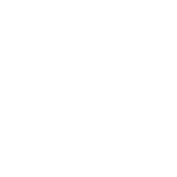 xAI logo