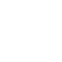 Leonardo.Ai logo