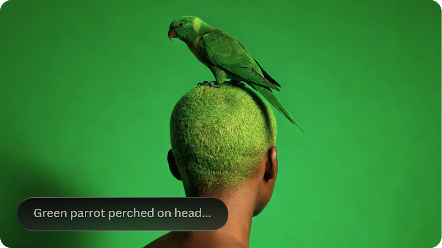 AI Video Generator – Create Videos from Images or Text