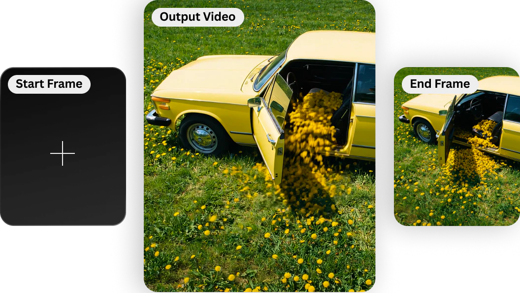 video poster background