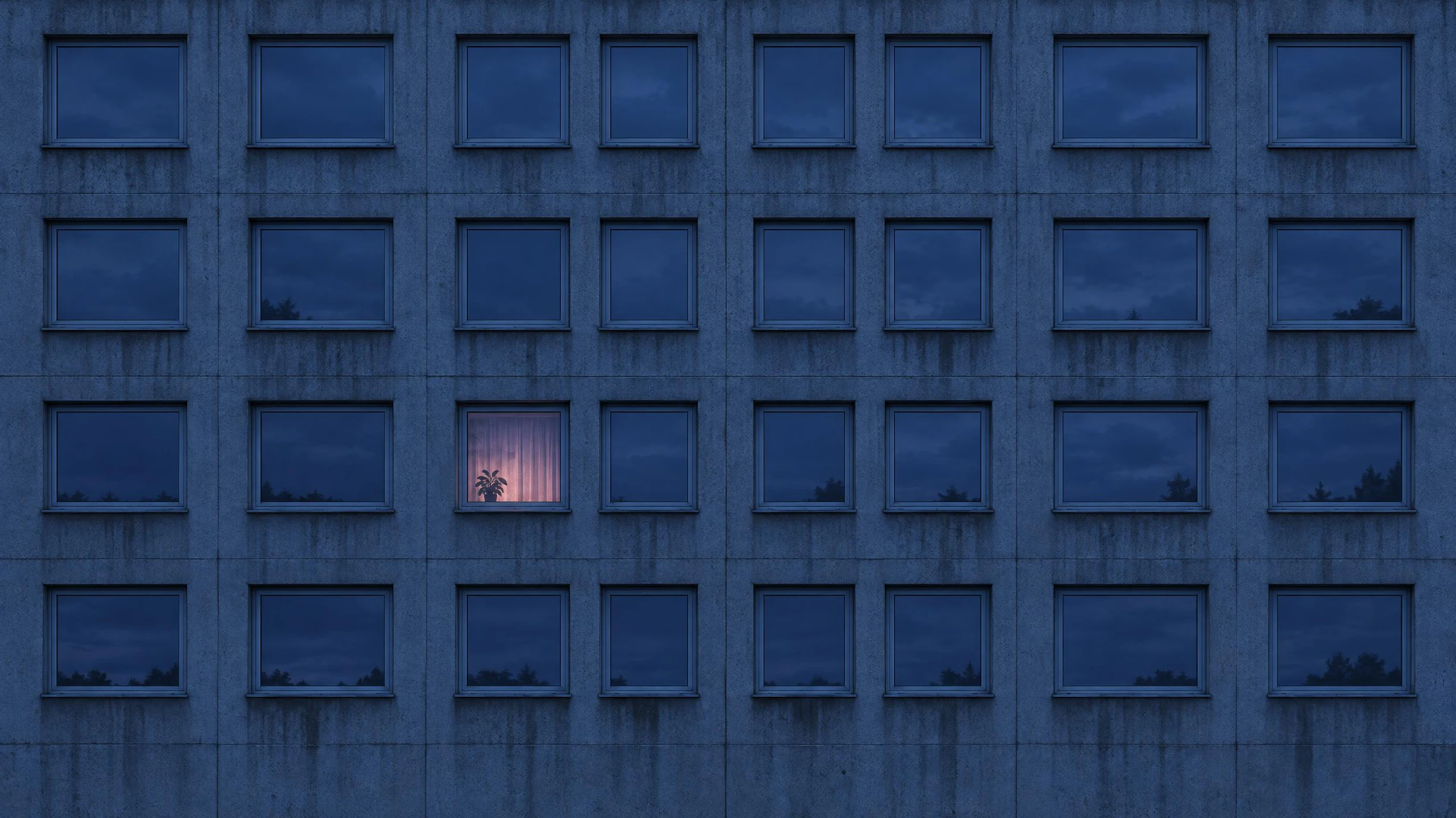 A concrete tower block at dusk, every window dark except one glowing pink behind a curtain, with a plant on the sill. Made with GPT Image 2.5 Flare.
