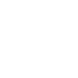 Lightricks logo